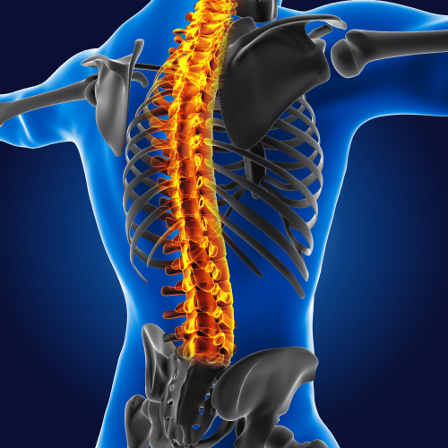 Back pain